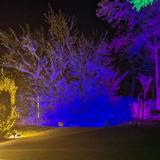 Webalbum 26.07.2024 - Sommerfest